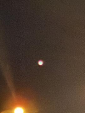 UFO sighting in Cascade-chipita park