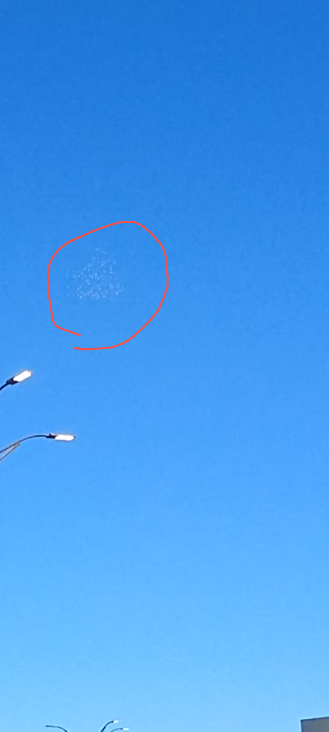 UFO sighting photo from South Bradenton, FLORIDA on November 1, 2025